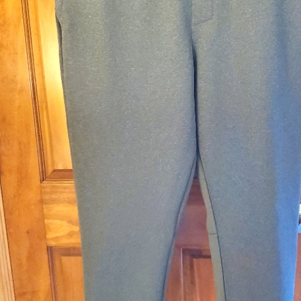 Men's All in Motion sweats